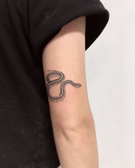 Sam Mancino on Instagram: “Summer solstice / sister garter snake & mini eagle from yesterday🐍🦅thank you Andrea and Amanda 💫 . . . . #gartersnake #miamitattooartist…” Gardner Snake Tattoo, Garder Snake Tattoo, Gardener Snake Tattoo, Garden Snake Tattoo, Garter Snake Tattoo, Simple Snake Tattoo, Patchwork Sleeves, Rooster Tattoo, Florida Tattoos