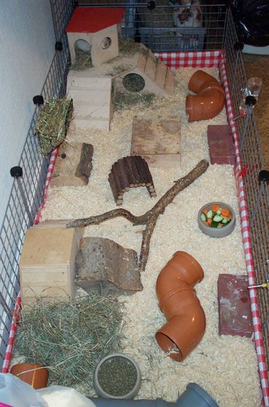 cage Diy Guinea Pig Cage, Guinea Pig Breeding, Guinea Pig Diy, Cage Hamster, Hamster Diy, Guinea Pig House, Animal Cage, Hamster Cages, Rabbit Cages