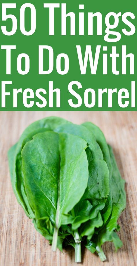 Sorrel Recipes: 50 Things To Do With Fresh Sorrel | Chocolate & Zucchini Sorrel Recipes, Sorrel Recipe, Csa Recipes, Herb Recipes, Herbal Recipes, Chocolate Zucchini, Honey Recipes, Pesto Recipe, Garden Recipes