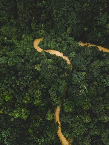 Drone Landscape, Amazon Forest, Aerial Photography Drone, Aerial Images, Image Nature, River Art, Aerial Drone, Drone Photos, Forest Wallpaper