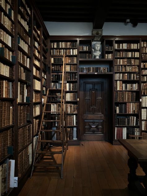 Dark Academia Home Library Aesthetic, Cottage Library Aesthetic, Dark Academia Bookshelves, Aesthetic Library Dark Academia, Old Academia Aesthetic, Old Fashioned Bookshelves, Old Dark Academia, Rustic Library Aesthetic, Fantasy Library Aesthetic Dark