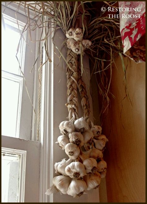 Hanging garlic Garlic Tattoo, Hanging Garlic, Futuristic Kitchen, Simple Country Living, Primitive Home, Wine Cheese, Retro Futuristic, Dry Goods, Preserving Food