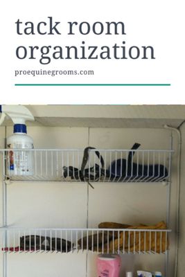 Diy Tack Room, Horse Trailer Organization, Tack Locker, Tack Room Organization, Horse Tack Rooms, Barn Hacks, Tack Rooms, Trailer Organization, Western Pleasure Horses