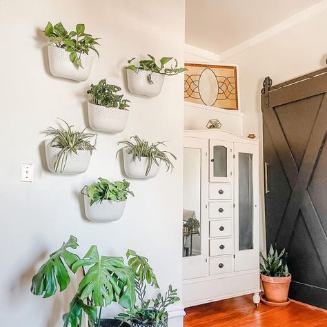 WallyGrow on Instagram: “What does your peaceful nook look like? Plant walls are an easy way to elevate your zen spot!” Plant Walls, Plant Wall, Nook, Zen, Room Decor, Plants, Wall, On Instagram, Instagram