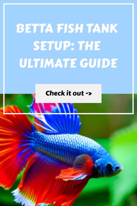 Betta Fish Tank Setup: The Ultimate Guide https://petsandfins.com/betta-fish-tank Square Fish Tank, Betta Fish Tank Setup, Betta Fish Care Guide, How To Breed Betta Fish, What Can Live With Beta Fish, What Fish Can Live With Bettas, Betta Fish Community Tank, Betta Fish Tank Mates, Fish Types