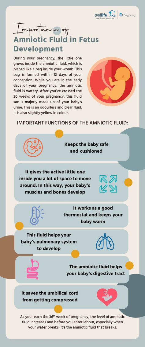 Amniotic Fluid Embolism, Anatomy 101, Pregnancy Facts, Ultrasound Technician, Student Midwife, Nursing Study Guide, Amniotic Fluid, Science Notes, 20 Weeks