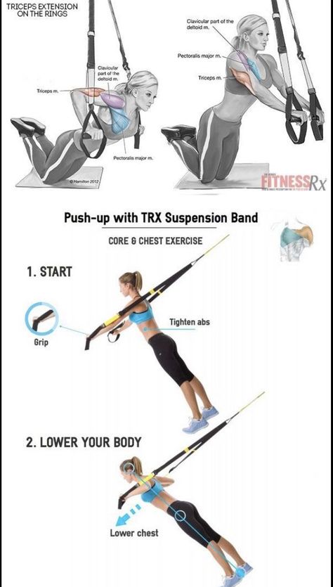 Apr 25, 2020 - This Pin was discovered by Jasmine198x. Discover (and save!) your own Pins on Pinterest Trx Training Total Body Workouts, Suspension Workout, Trx Exercises, Beauty Routine Planner, Muscles Workout, Trx Suspension Training, Trx Suspension, Trx Training, Suspension Trainer