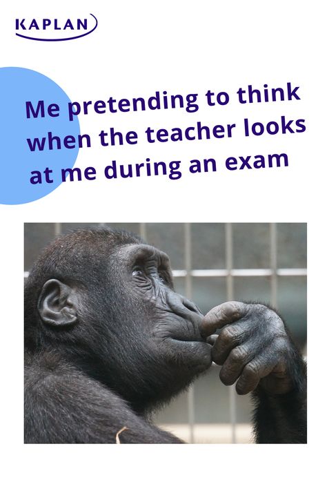 Me pretending to think when the teacher looks at me during an exam... please stop staring 😭 humour | student life | student jokes #StudentProblems #funny Lovly Photo, Study Memes, Teacher Looks, Exams Memes, Studying Funny, Student Jokes, Studying Memes, Student Problems, Im Only Human