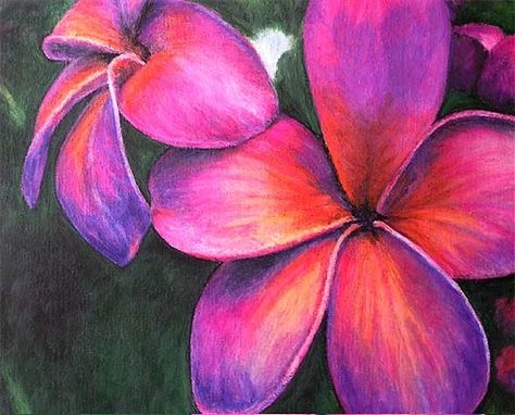 A painting of my favorite flower-the Frangipani aka plumeria. Oil pastel by  my Flowers Art Painting, Pastels Art, Chalk Pastel Art, Soft Pastel Art, Chalk Pastel, Pastel Artwork, Pastel Sec, Oil Pastel Paintings, Dry Pastel