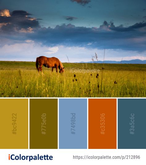 2505 Field Color Palette ideas in 2022 | iColorpalette Wildlife Color Palette, Color Palette Theme, Color Palette Ideas, Palette Ideas, Ecosystem, Color Card, Color Palette, Photoshop, Illustrations