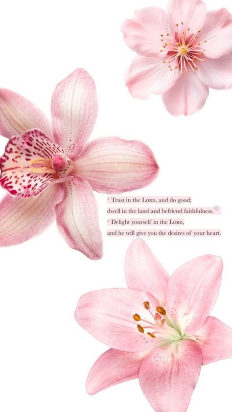 Christian Flower Wallpaper, Flower Wallpaper, Psalms, Fun Things To Do, Wallpapers, Flowers, Quick Saves