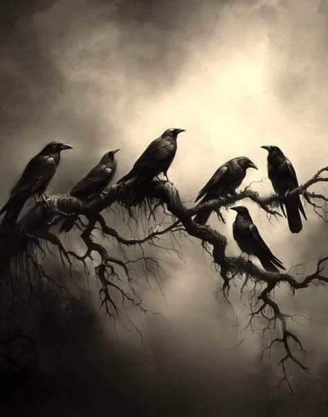 Facebook Crow Art Dark, Crows Artwork, Jason Horror, Eerie Art, Bird Silhouettes, Interior Makeover, Raven And Wolf, Halloween Pics, Crow Tattoo