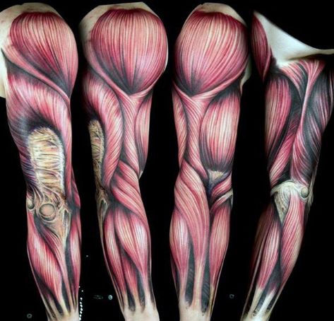 70 Anatomical Tattoos For Men - Bodily Structure Design Ideas Biomech Tattoo, Anatomical Tattoos, Arm Anatomy, Anatomy Tattoo, Mechanic Tattoo, Muscle Tattoo, Biomechanical Tattoo, Traditional Tattoo Flash, Desenho Tattoo