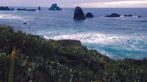 tumblr_ou39yx4dwn1uvsi7jo1_1280.gif (640×360) Oregon Aesthetic, Cannon Beach Oregon, Amazing Gifs, Green Theme, Cannon Beach, Carl Jung, Aesthetic Gif, Anime Scenery, Pretty Pictures