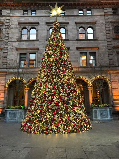 My top 4 things to do in NYC at Christmas Lotte New York Palace, New York Noel, New York Christmas Tree, Gold Lights, Christmas In New York, Colorful Christmas Tree, Gold Light, Places Around The World, Green Gold