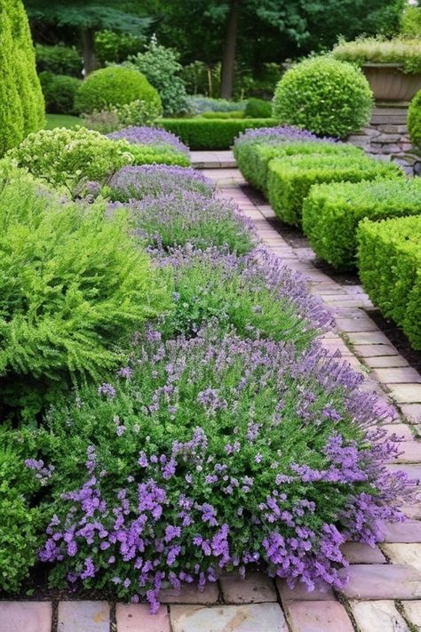 Discover a variety of hardy ground cover plants perfect for your garden. Whether you're looking for no-mow alternatives to grass lawn or flowering ground cover plants, we've got you covered! From bugleweed and mat-rush to creeping thyme and cold-hardy options, find the best solutions for your landscaping needs. Explore full-sun flowering ground covers and tropical plants for shady areas to create a vibrant and lush outdoor space. Landscaping With Ground Cover Plants, Ground Cover Plants For Sun, Creeping Thyme Ground Cover, Ground Cover Ideas, Ground Covers For Sun, Groundcover Roses, Evergreen Ground Cover Plants, Rush Plant, Flowering Ground Cover