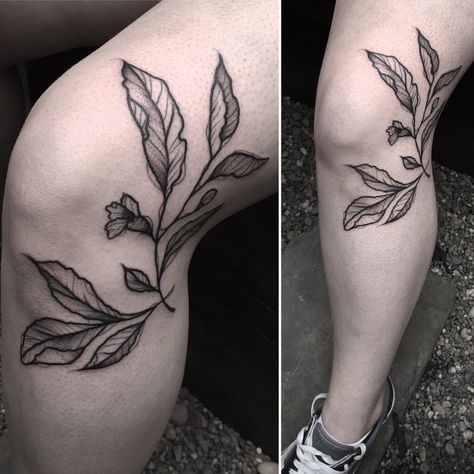 Leafy Knee Tattoo, Leaves Knee Tattoo, Plant Knee Tattoo, Botanical Knee Tattoo, Knee Leaf Tattoo, Fine Line Knee Tattoo, Side Of Knee Tattoos Women, Tattoos Around Knee, Knee Tattoo Women