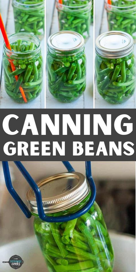 Follow this step-by-step tutorial to learn How to Can Green Beans in a pressure canner safely. One of the easiest canning recipes around, you’ll love having jars of home canned green beans to use all year long. Pressure Canning Green Beans, Preserving Green Beans, Green Beans Easy, Canning Green Beans, Canned Green Beans, Canning Salt, Canning Rack, Easy Canning, Canning Peaches