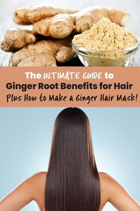 Learn all about the ginger root benefits for your hair and ways you can use it to encourage hair growth, stop hair loss, and keep your scalp healthy. Ginger For Hair Growth, Shampoo Ginger Uses, How To Store Ginger Root, Ways To Use Ginger Root, Ginger Root Recipes, Benefits Of Ginger Root, Benifits Of Ginger, Winter Squash Varieties, Orange Skin