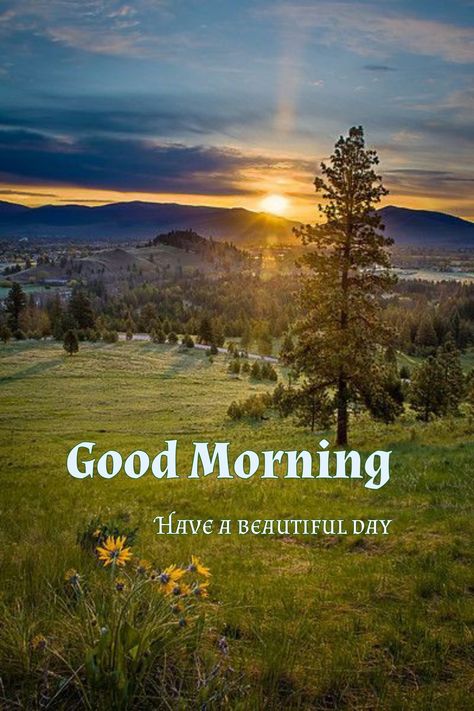 Good Morning Family, Good Morning Nature Images, Memory Quotes, Morning Family, Good Morning Clips, Happy Sunday Morning, Happy Good Morning Images, Ramadan Wishes, Good Evening Greetings