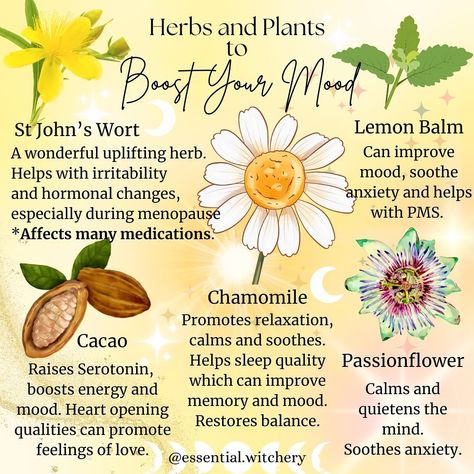 Donna Trinder (@essential.witchery) • Instagram photos and videos Anti Depressants, Contraceptive Pill, Herbs And Plants, Traditional Witchcraft, Pagan Witch, Pulse Points, Sleep Help, Hormonal Changes, Lemon Balm