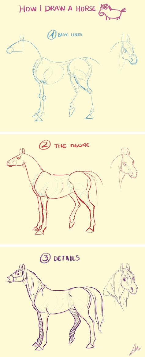 Horse Drawing Reference Sketch, Horse Study Drawing, Horse Sketch Anatomy, Horse Body Sketch, Horse Drawing Tips, Horse Body Reference, Stylized Horse Art, How To Draw A Realistic Horse, Horse Hair Drawing