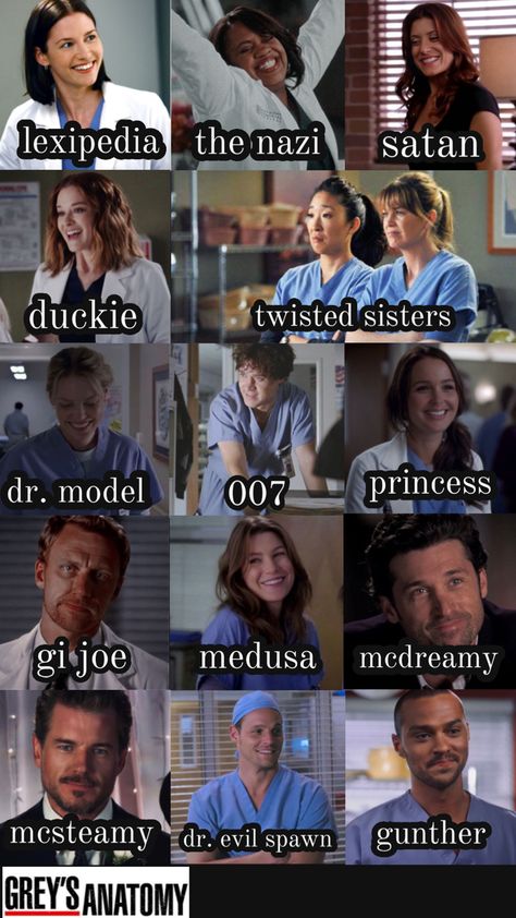 Character Nicknames, Greys Anatomy Gifts, Grey's Anatomy Doctors, Celebrity Film, Meredith And Derek, Greys Anatomy Funny, Greys Anatomy Characters, Greys Anatomy Memes, Grey Anatomy Quotes