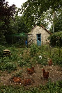 French Country Chicken Coop, English Chicken Coop, Cottage Ducks, Garden With Chickens, Chickens Garden, Chickens In The Garden, Happy Chickens, Chicken Yard, Chickens Farm