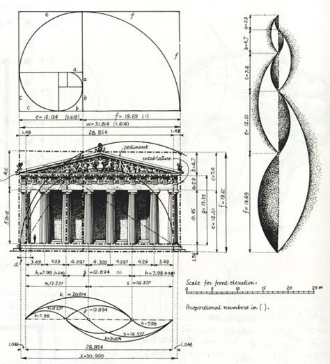 The Classical system is influential because the ideals and philosophy behind the system is not only based on what’s practical but is also geometrically sound, attractive to the eye and functional engineering wise. One can only say that the Classical orders are orders of visual splendor and cohesion. Call us at: 212-461-0245 // 212-913-9588 Sales@AncientSurfaces.com  http://www.ancientsurfaces.com/Golden-Ratio.html Fibonacci Golden Ratio, Golden Section, Golden Mean, The Golden Mean, Divine Proportion, Istoria Artei, Graphisches Design, Fibonacci Sequence, Fibonacci Spiral