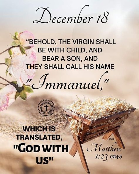 December Prayers, December Blessings, Divine Inspiration And Prayers, December Scriptures, Have A Blessed Day Inspiration, Xmas Messages, Daily Spiritual Quotes, Precious Animals, Daily Blessings