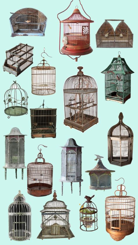 #vintage bird cage Vintage Bird Cage, Vintage Bird, Vintage Birds, Bird Cage, Design Inspo, Animals, Design