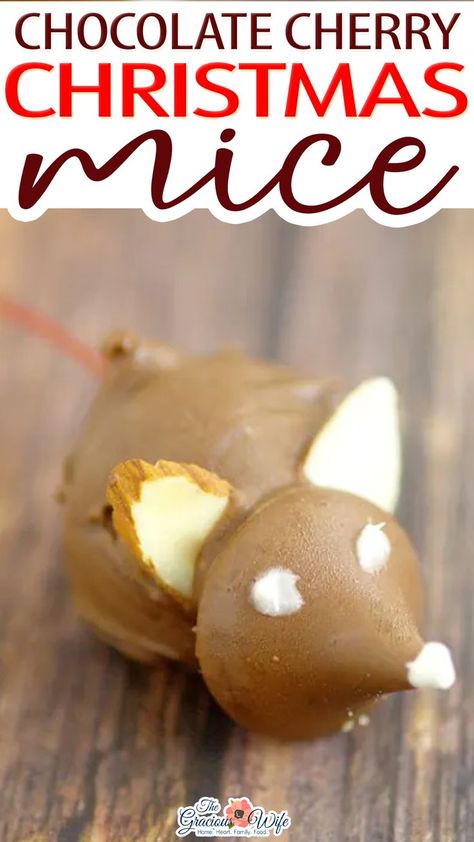 These fun Chocolate Cherry Christmas Mice made from chocolate covered cherries with almond slices and Kisses, are an adorable candy recipe for Christmas. Not a creature was stirring, not even a MOUSE! These Chocolate Cherry Christmas Mice are an adorable candy recipe for Christmas, and a great addition to your dessert or snack table. | @graciouswife #chocolatecoveredcherries #chocolatechristmastreats #christmastreats #christmassnacks #funchristmastreats Homemade Christmas Cookie Recipes, Holiday Dessert Recipes Easy, Cherry Christmas, Pinterest Christmas, Christmas Mice, Delicious Family Meals, Candy Recipe, Holiday Party Foods, Holiday Dessert Recipes