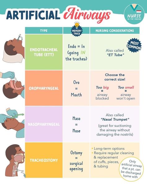 Suctioning Nursing, Trach Care Nursing, Nurse In The Making, Nursing School Studying Cheat Sheets, Nurse Skills, Nurse Teaching, Nursing School Essential, Nursing School Motivation, Medical School Life