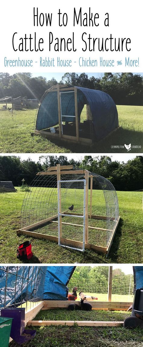 Make A Greenhouse, Cute Chicken Coops, Cattle Panels, Rabbit House, Portable Chicken Coop, Chicken Pen, Chicken Tractors, Chicken Tractor, Dog Yard