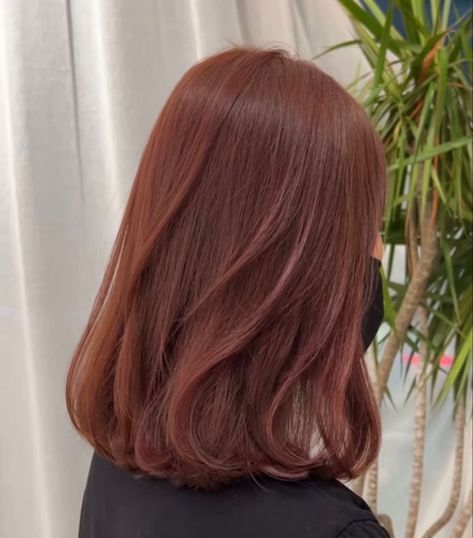 Maroon And Ginger Hair, Jisoo Ginger Hair, Maroon Auburn Hair, Light Brownish Red Hair Color, Red Brownish Hair Color, Coffee Bean Hair Color, Ginger Brownish Hair, Asian Reddish Brown Hair, Dark Cooper Short Hair