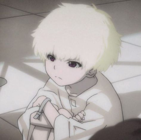 Terror In Resonance, Crystal Kingdom, Pictures Of Animals, Discord Server, Group Chat, Hair, Animals, Anime