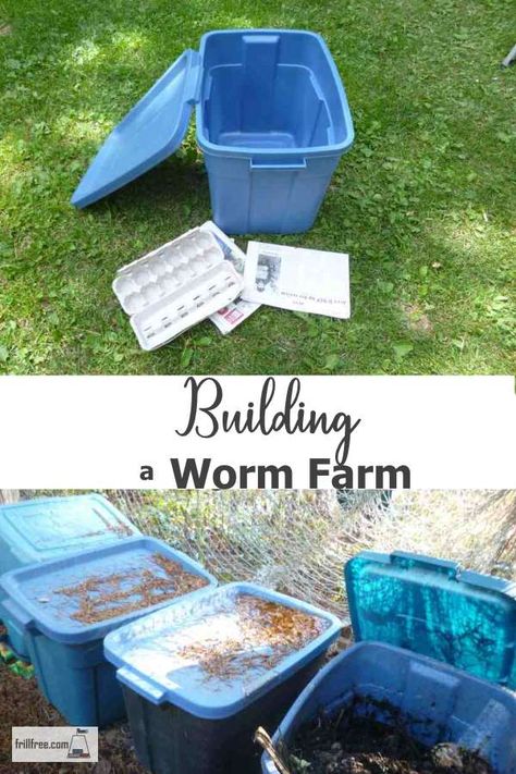 Wormery Diy How To Build, Worm Bins How To Build, Diy Worm Bin, Earthworm Farm, Easy Worm Farm, How To Start A Worm Farm, Worm Farm Diy How To Make A, How To Build A Worm Farm, Vermicomposting Worm Farm