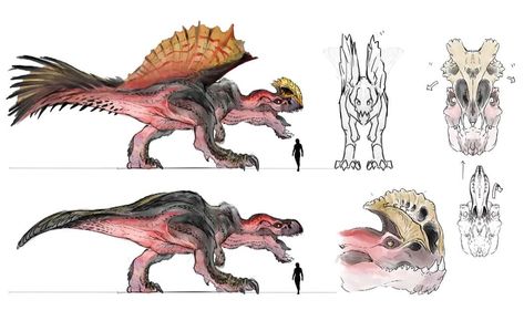 Monster Hunter Memes, Monster Hunter Stories, Monster Hunter Art, Hunter Art, Arte Alien, Monster Hunter World, Creature Drawings, Monster Concept Art, Fantasy Monster