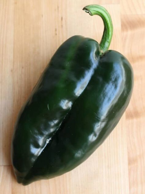 Poblano Pepper - Mamá Maggie's Kitchen Dishes To Cook, Poblano Pepper, Authentic Mexican Food, Chile Poblano, Traditional Dishes, Chile Pepper, Stuffed Poblano Peppers, Authentic Mexican, Mexican Food Recipes Authentic