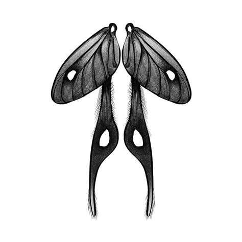 PSD elongated wings of different moths | Premium Psd #Freepik #psd #moth #butterfly-outline #butterfly-drawing #butterfly-tattoo Moth Wing Drawing Reference, How To Draw Moth Wings, Moth Wing Drawing, Moth Wings Back Tattoo, Moth Wing Tattoo, Moth Wings Tattoo, Moth Wings Drawing, Moth Character, Enchantix Wings