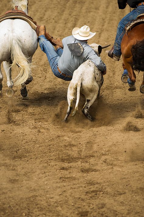 Steer Wrestling, Western Horseman, Working Cow Horse, Cowboy Photography, Rodeo Time, Wrestling Team, Rodeo Events, Rodeo Cowboys, Calgary Stampede