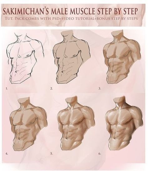 How To Draw Comics, Male Muscle, Draw Comics, Human Anatomy Drawing, Human Anatomy Art, 강아지 그림, Body Reference Drawing, Digital Painting Tutorials, Guy Drawing