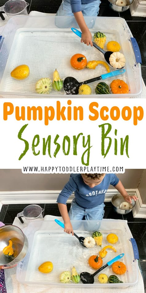 Halloween Widgetsmith, Pumpkin Activities For Kids, Prek Sensory, Sensory Play For Babies, Dinosaur Sensory, Preschool Camping, Infant Sensory, Camping Theme Preschool, Aesthetic Halloween Costumes