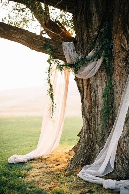 Cheap Wedding Decorations, Wedding Ceremony Ideas, Wedding Boho, Woodland Wedding, Forest Wedding, Cheap Wedding, Diy Wedding Decorations, Ceremony Decorations, Wedding Arch