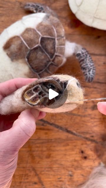 3d Needle Felting Ideas, Needle Felt Turtle, How To Needle Felt Animals, Felted Turtle, Needle Felting Diy Tutorials, Needle Felt Animals, Felt Turtle, Fibre Artist, Felted Toys