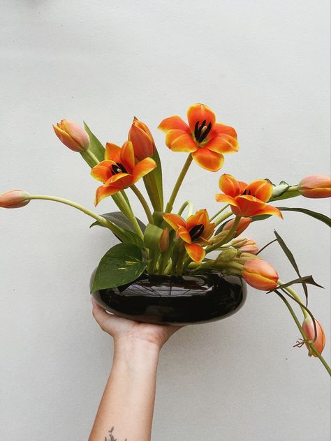 Orange tulips for an ikebana-style flower arrangement Tulip Ikebana, Ikebana Bowl, Focal Flowers, Ikebana Arrangement, Tulips Arrangement, Floral Arranging, Ikebana Arrangements, Beautiful Bouquet Of Flowers, Orange Flowers