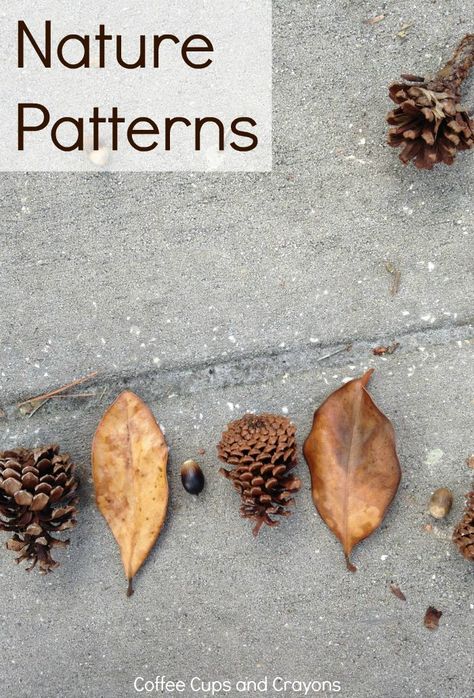 Teach Kids Math Patterns Using Nature! Maths In Nature, Preschool Patterns, Outdoor Learning Activities, Nature Patterns, Math Patterns, Kids Math, Pattern Activities, Nature School, Nature Pattern