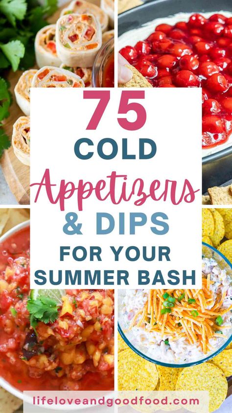 Summer is here, and that means it's time for outdoor fun! Do you need a great cold appetizer idea for your next backyard barbecue, pool party, or afternoon picnic? If so, you have lucked out! I have prepared a selection of recipes for 75 refreshing cold appetizers and dips for your summer bash. Outdoor Party Appetizers, Cold Summer Appetizers, Picnic Dips, Summer Bbq Appetizers, Barbecue Appetizers, Appetizers And Dips, Outdoor Party Foods, Picnic Appetizers, Summer Party Appetizers