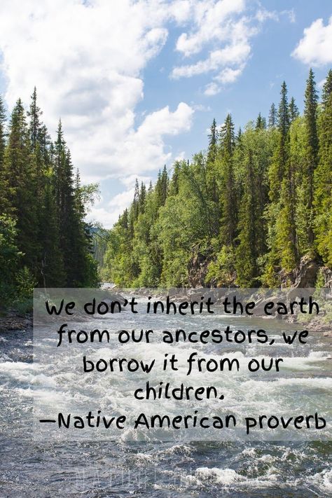 Native American proverb Arctic Travel, Native American Quotes Wisdom, Native American Proverbs, American Proverbs, Native American Proverb, Nature Quote, Native American Quotes, Nature Quotes, Proverbs