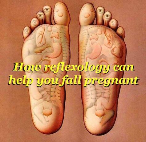 Reflexology and fertility | HubPages Reflexology For Fertility, Acupuncture Fertility, Acupuncture Benefits, Referred Pain, Fertility Health, Fallopian Tubes, Natural Pregnancy, Cool Yoga Poses, Traditional Medicine